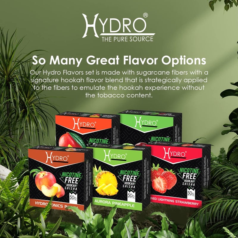 Hydro Hookah Flavors Bundle – Tobacco Free & Nicotine Free Shisha - Fruit Lovers Mix Premium Flavors – Natural, Long-Lasting, Smooth Taste, 50-Gram Packs (Pack of 10) - Image 3